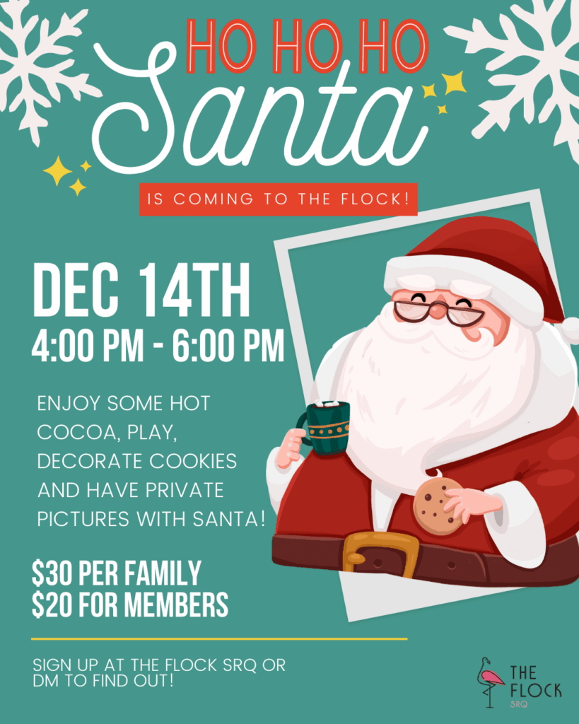 Santa Flock 2025 (1)